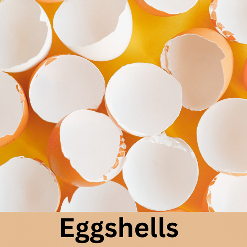 Eggshells