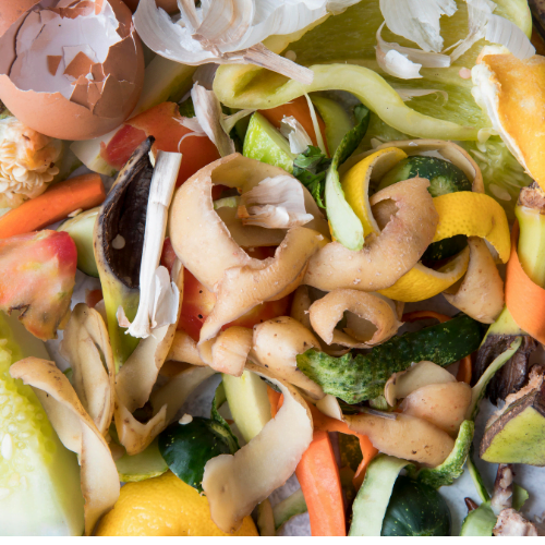 waste Vegetable